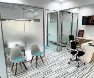 ModulArt Office Partitions